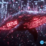 Cetus hack post-mortem reveals overflow bug behind $223m exploit