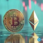 Ethereum, Bitcoin ETFs see biggest inflows since the start of the year