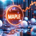 Maple Finance taps Cantor for Bitcoin-backed credit