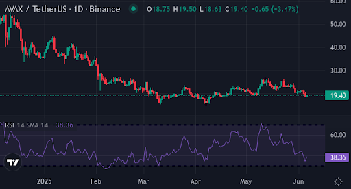 AVAX, LINK investors quietly buy this new crypto before a predicted massive rally - 2