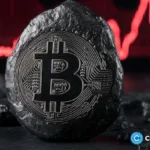 Czech government under pressure over bitcoin donation from ‘Silk Road’ entrepreneur