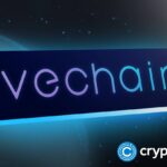 Franklin Templeton brings BENJI platform to VeChain for tokenized treasury access