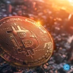 Sequans and other Bitcoin treasury companies saw their stocks plummet this July. What does this signal mean?