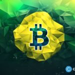 Brazil to hold first hearing on a $19B sovereign Bitcoin reserve
