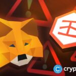 MetaMask, Linea and Brevis team up to launch ZK-proof rewards for Metamask card users