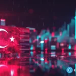 Turkey detains Ethereum developer over alleged role in network misuse