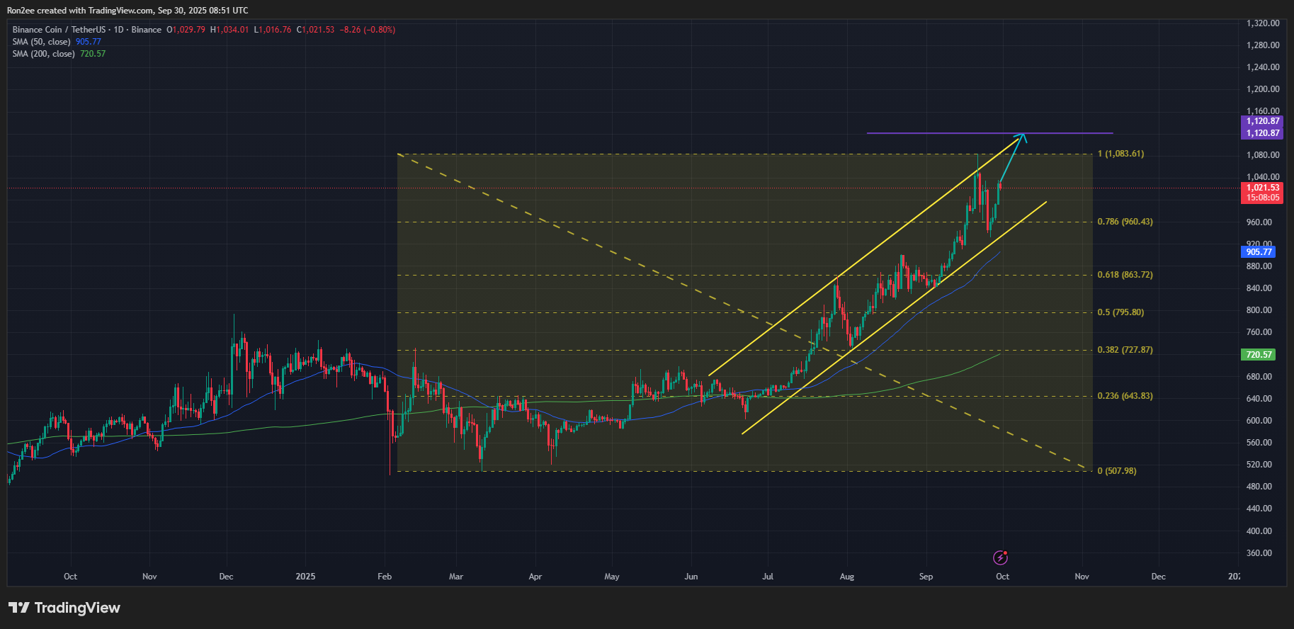 BNB price trades within a bullish continuation pattern on the daily chart.