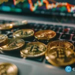 South Korean retail investors dump Tesla for crypto stocks: Bloomberg