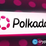 Here’s why Polkadot price rallied over 10% today