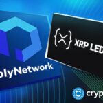 RLUSD Settlement of $59 Million Completed on XRP Ledger for $0.000188