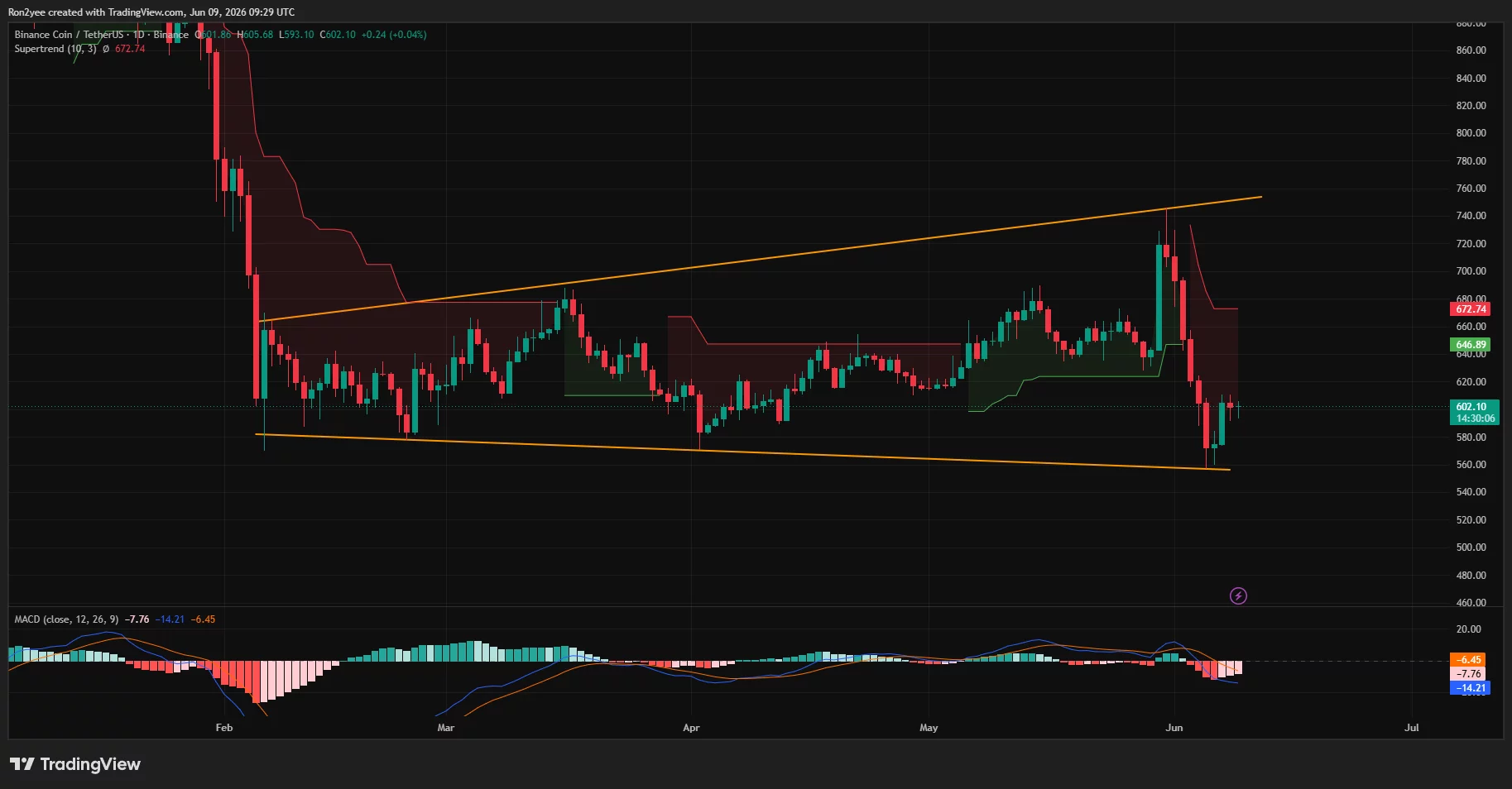 BNB price has formed a megaphone pattern on the daily chart.