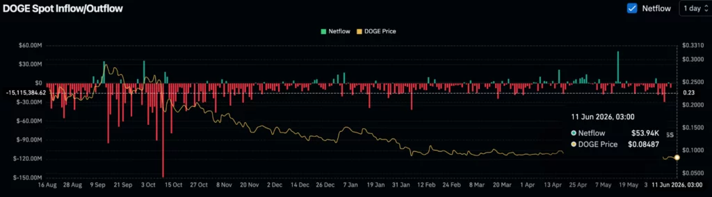 Dogecoin (DOGE) spot netflows, source: Coinglass