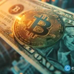 What is an ancillary asset? The word deciding crypto’s fate