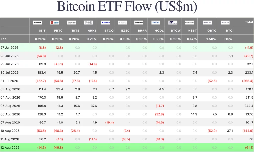 Bitcoin ETF flow, source: Farside